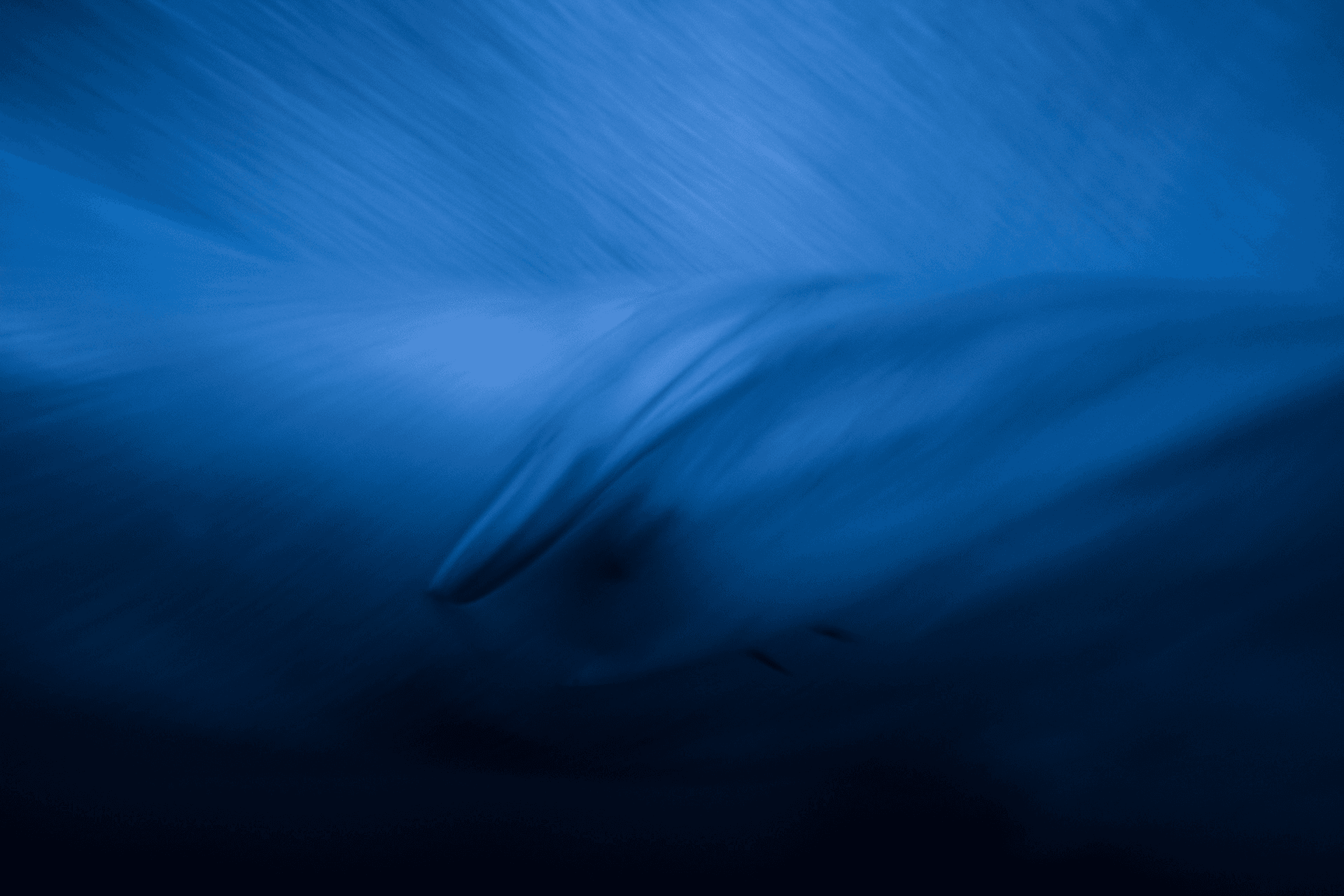 ocean